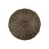 Acorn Manufacturing DPDPP Artisan Collection Sand Dollar Knob, Antique Pewter - View #8
